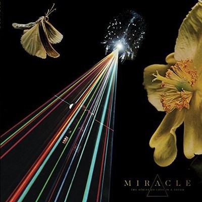 Miracle - Strife Of Love In A Dream (2018) – Vinyl 