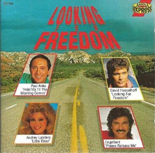 Various Artists - Looking For Freedom 