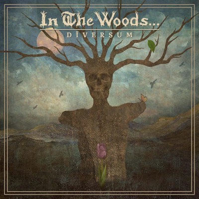 In The Woods - Diversum (2022) - Limited Vinyl