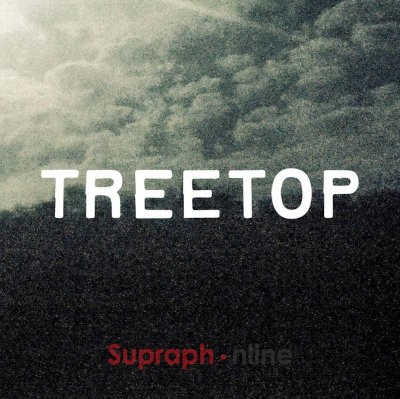 Treetop - Treetop (2021)