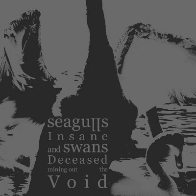 Seagulls Insane And Swans Deceased Mining Out The Void - Seagulls Insane And Swans Deceased Mining Out The Void (2012)