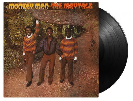 Maytals - Monkey Man (Edice 2021) - 180 gr. Vinyl