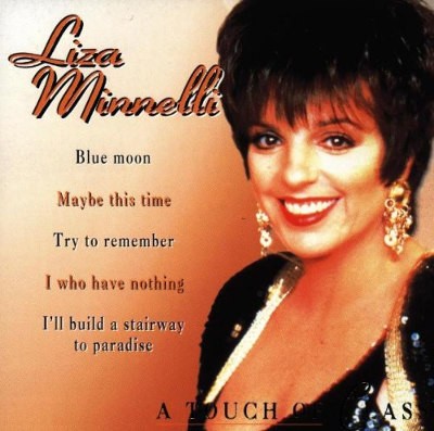 Liza Minnelli - A Touch Of Class (1998)