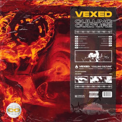 Vexed - Culling Culture (2021) - Vinyl