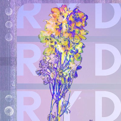 Ryd - Ryd (2019) - Vinyl