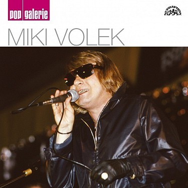 Miki Volek - Pop Galerie 