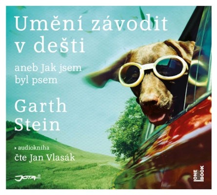 Garth Stein - Umění závodit v dešti (CD-MP3, 2021)