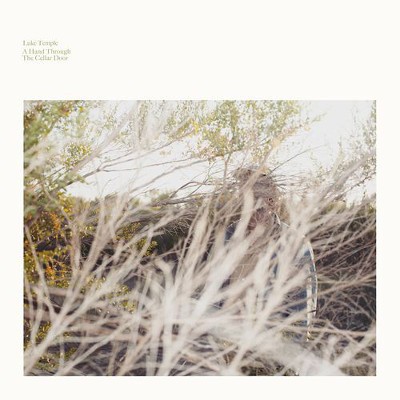 Luke Temple - A Hand Through The Cellar Door (2016) – Vinyl 