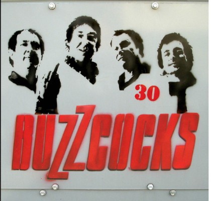 Buzzcocks - 30 (2007)