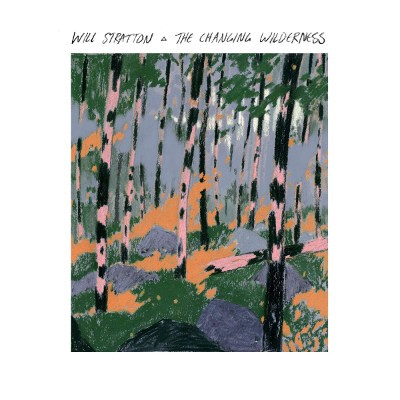 Will Stratton - Changing Wilderness (Limited Edition, 2021) - Vinyl