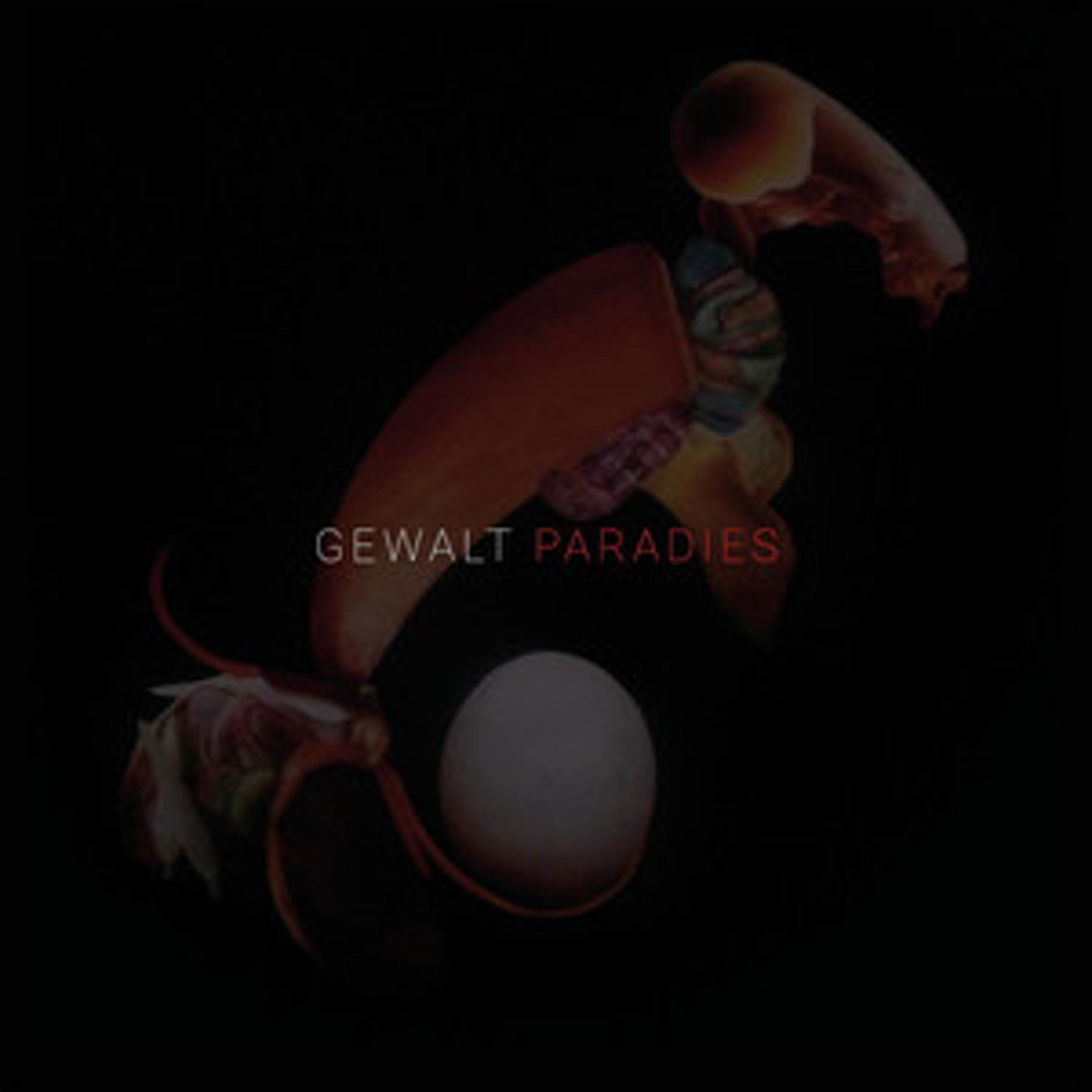 Gewalt - Paradies (2021) - Deluxe Vinyl