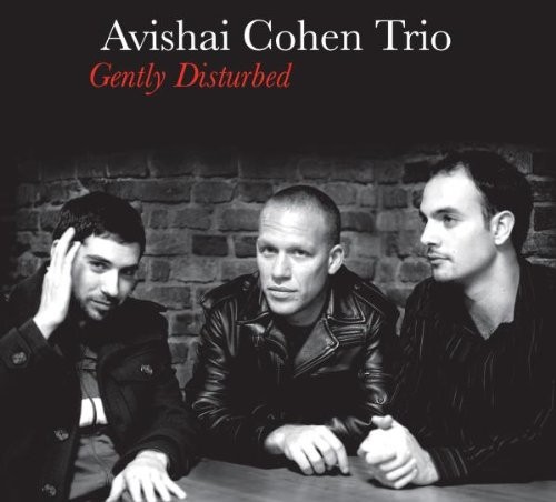 Avishai Cohen Trio - Gently Disturbed (2008) 
