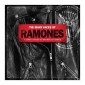 Ramones =Tribute= - Many Faces Of Ramones (2014) 