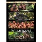 Film/Dokument - Pavol Barabáš: Pygmejovia - Deti džungle (DVD, 2012)