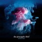 Pineapple Thief - All The Wars (Limited Edition) - 180 gr. Vinyl 