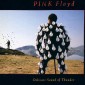 Pink Floyd - Delicate Sound Of Thunder (Edice 2017) - Vinyl 