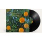 Lana Del Rey - Violet Bent Backwards Over The Grass - Audiobook (2020) - Vinyl
