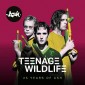 Ash - Teenage Wildlife - 25 Years of Ash (2020) - Vinyl