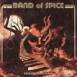 Band Of Spice - Shadows Remain (2017) 