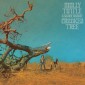 Molly Tuttle & Highway Golden - Crooked Tree (2022)